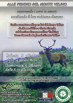 Alle pendici del Monte Velino - escursione e osservazione cervi