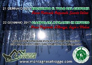 Seguendo il volo del grifone nel Parco Naturale Regionale Sirente Velino e Ciaspolata da Passo del D