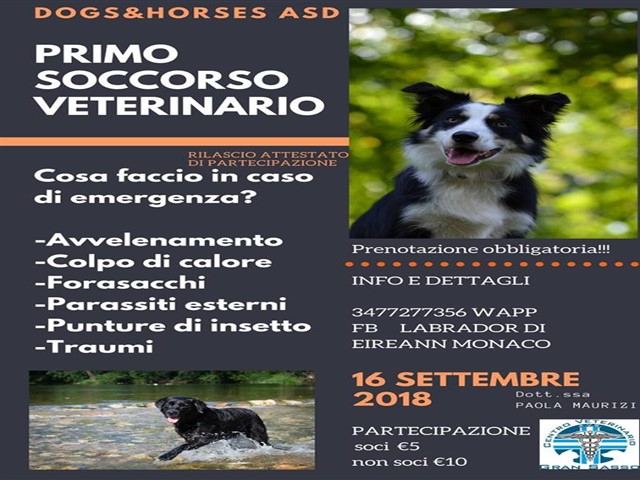 Primo soccorso veterinario