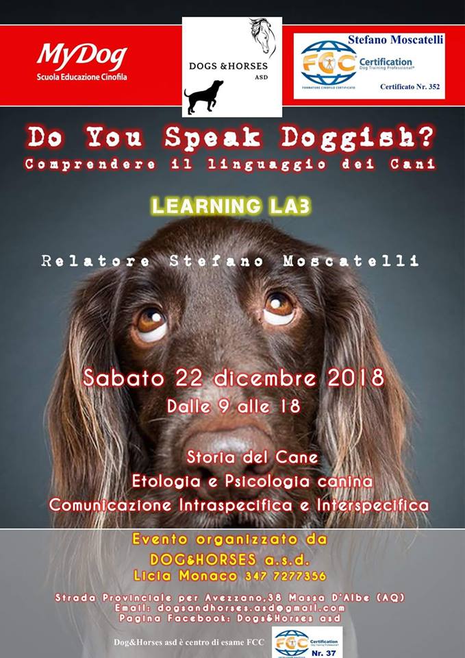 Do You Speak Doggish, comprendere il linguaggio dei cani