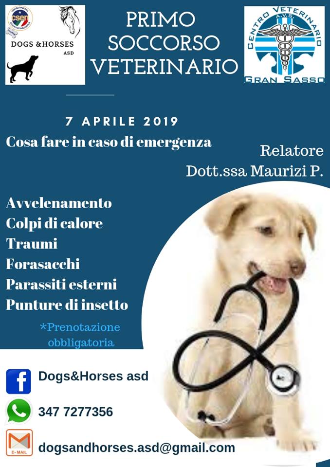 Primo soccorso veterinario