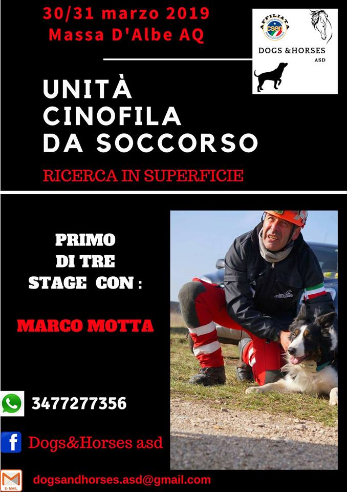 Stage Marco Motta - Ricerca in superficie